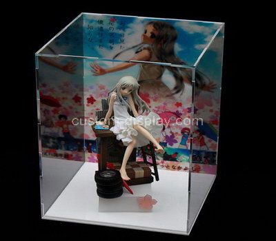 Clear plastic doll cases