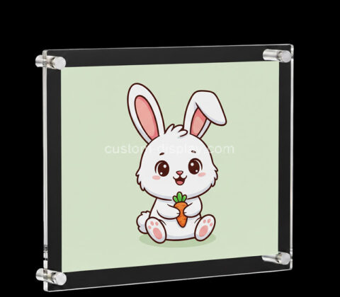 Custom acrylic wall photo display frame