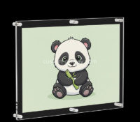 Custom acrylic hanging photo display frame