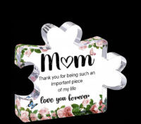 Custom acrylic cute decoration paperweights gift CCA-303 Custom acrylic cute decoration paperweights gift