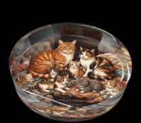 Custom round acrylic catchall candy block CSBL-375 Custom round acrylic catchall candy block