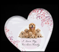 Custom heart shaped acrylic photo printing block CSBL-376 Custom heart shaped acrylic photo printing block