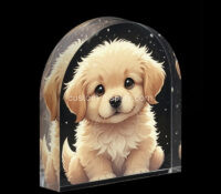 Custom top round acrylic cute photo block CCA-338 Custom top round acrylic cute photo block