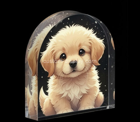 Custom top round acrylic cute photo block