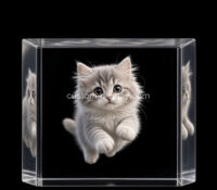 Custom acrylic photo printed block paperweight CCA-345 Custom acrylic photo printed block paperweight