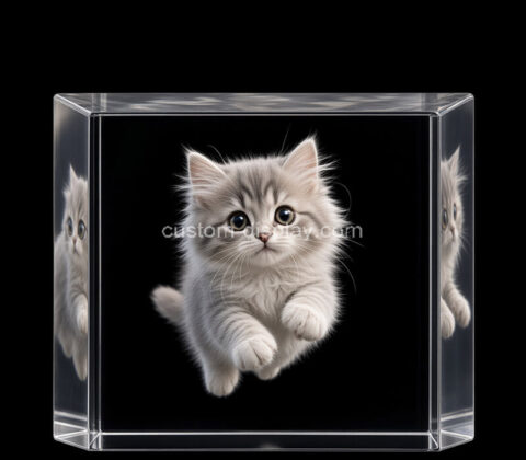 Custom acrylic photo printed block paperweight