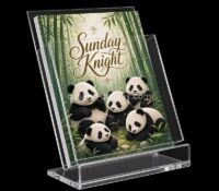 Custom acrylic desktop literature holder CSB-641 Custom acrylic desktop literature holder
